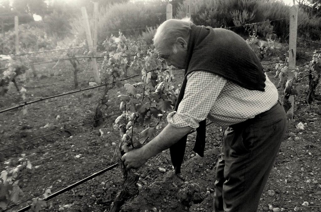 chi-siamo-vigna-del-re-billia-a-tuvaoes-Binzaesure-azienda-vinicola-vini-Sardegna-Usini-Francesco Manca